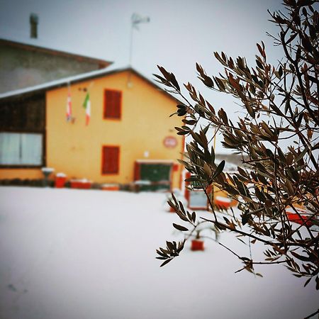 La Valle B&B Асті Екстер'єр фото