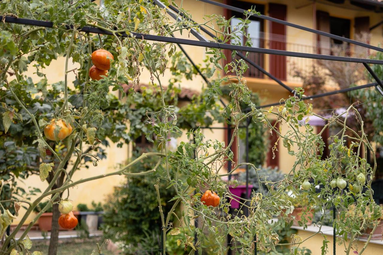 La Valle B&B Асті Екстер'єр фото